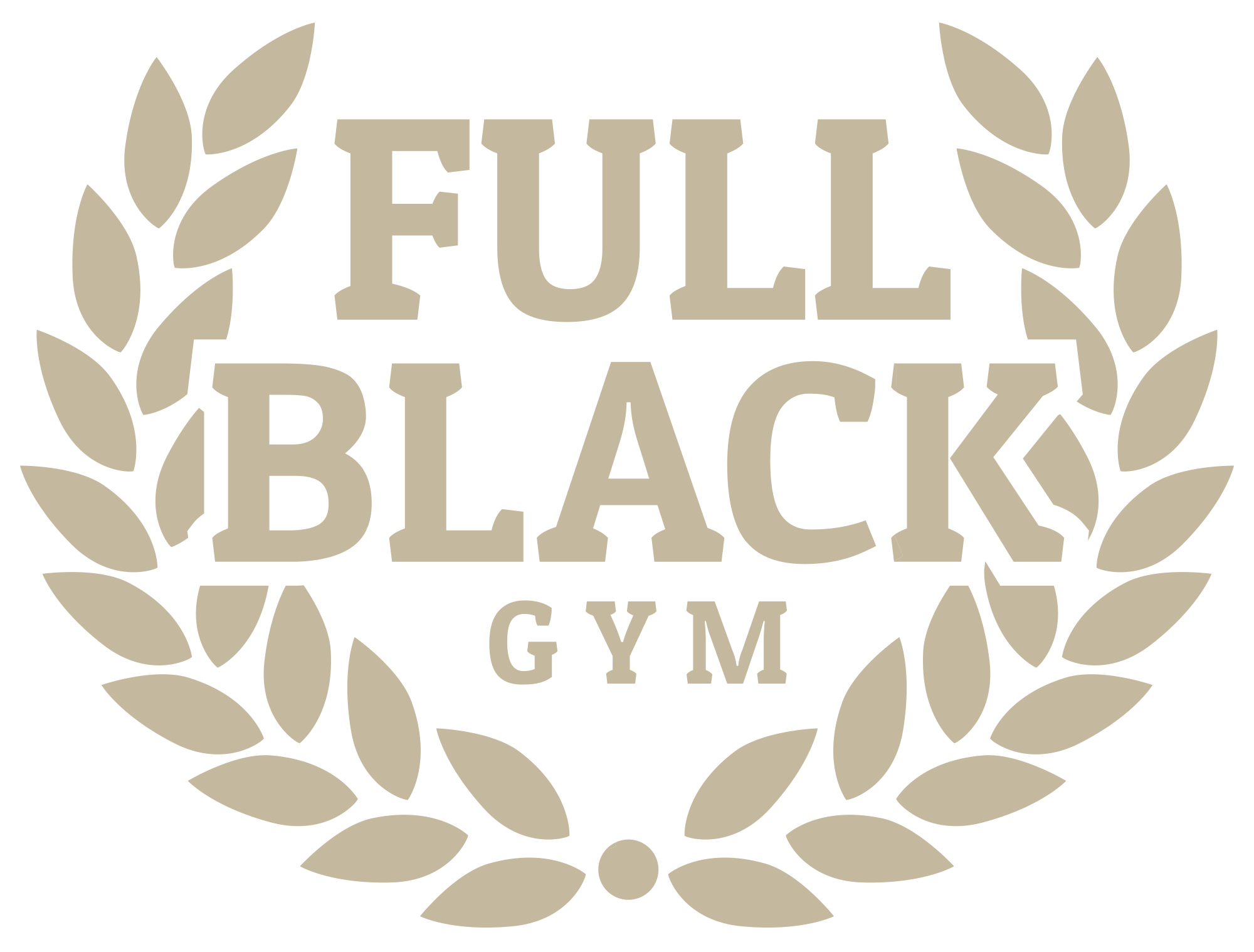 Full Black Gym